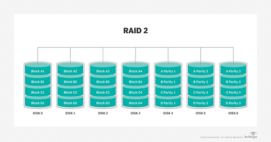 RAID 2 图