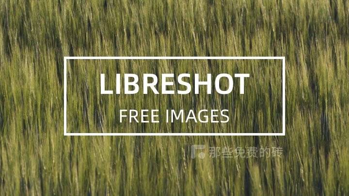 LibreShot - 小众的摄影照片下载网站,所有照片基于 CC0 协议,可免费商用